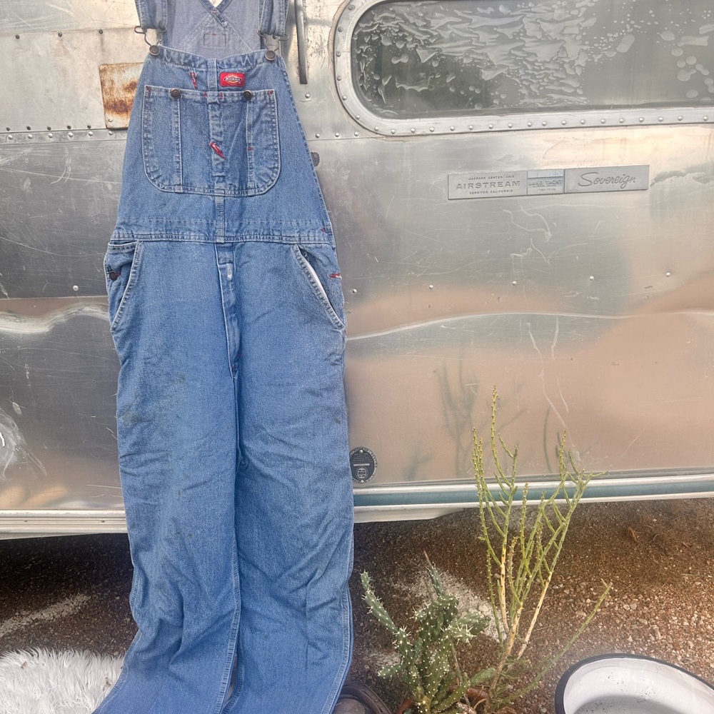 Dickies Blue Women Jeans Overalls